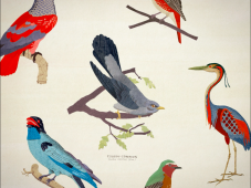 Capture d’e?cran 2024-11-11 a? 18.38.33.png